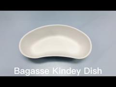 Medical Disposable Kidney Dish 700ml Cane Pulp Class I