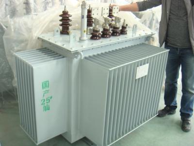 China Oil Type High Voltage Power Transformer For Hydropower Plant for sale