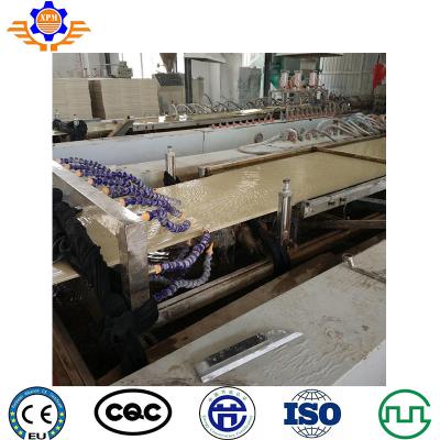 China Wall Panel Decorating Machinery Decking Board WPC Extrusion Machine for sale