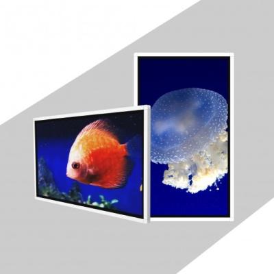 China TFT 49 Inch Wall Mount Digital Signage Wall Mounted Digital Advertising Screen for sale