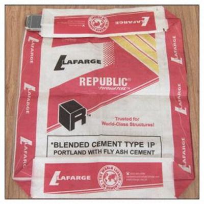 China El embalaje amistoso del cemento de Eco empaqueta los sacos tejidos laminados a prueba de humedad de 40Kg 50Kg en venta