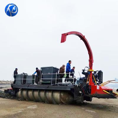 China Screw Propulsion Vehicle Swamp Buggy Work Platform In Swamp And Tidal Flat for sale