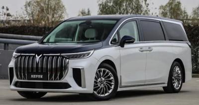 Chine 100 km/h VOYAH Dreamer MPV EV Car 2022 7 sièges 4 sièges Mengxiangjia à vendre