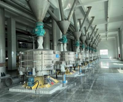 China 2000kg/H Cassava Starch Continuous Processing Machine Starch Vibration Sieves en venta