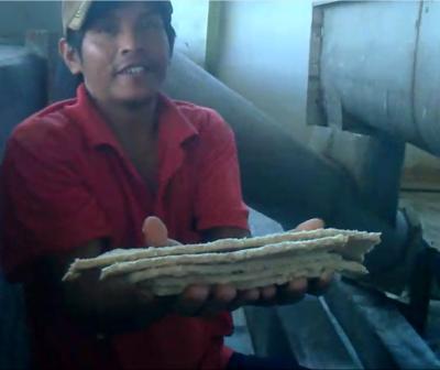 China Ceña la máquina de proceso de la harina de la mandioca de la prensa/la planta de tratamiento de la harina de la mandioca en venta