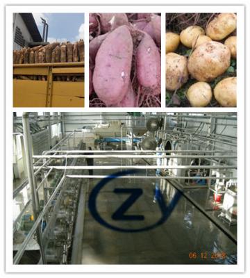 China Automatic 110kw Sweet Potato Starch Machine 18t/H Cassava Cutting Machine for sale