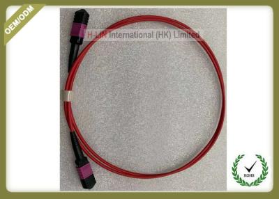 China MTP TO MTP  LC OM4 12 Core Fiber Optic Patch Cord Violet Color Multimode LSZH Jacket for sale