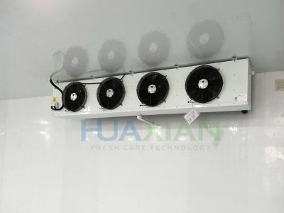China Industrial Cold Room Evaporator DL Ceiling Mounted Walk In Freezer Evaporator for sale