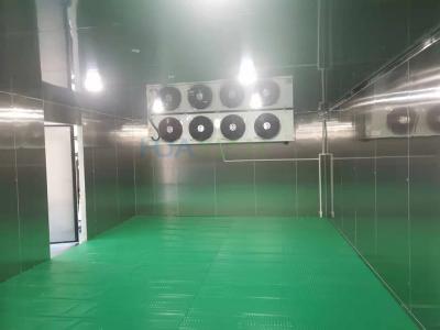 China 100 Square Meter Cold Storage Room -18­°C Stainless Steel Frozen Meat Freezer Room for sale
