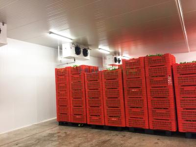 China Vegetable Fruit Cold Storage Room 0~10°C Industrial Refrigeration System for sale