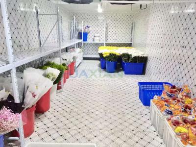 China Air Cooled Cold Storage Room Fresh Cut Floral Flower Walk In Cooler for sale