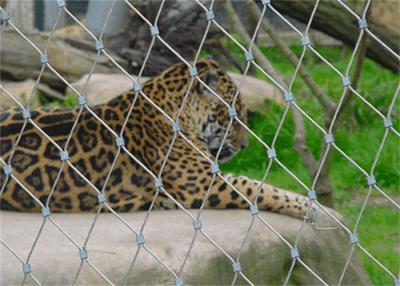 中国 黒い酸化物の動物園のエンクロージャの網1.2mmは適用範囲が広い高い抗張編まれた金網を結んだ 販売のため