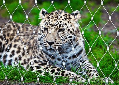 China 316L Stainless Steel Animal Zoo Enclosure Mesh Ferruled For Tiger Aviary for sale