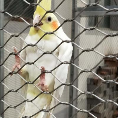 Китай Гибкая рука сетки приложения зоопарка - сплетенные гибкие 304 SS связывают проволокой плетение птицы сетки веревочки продается