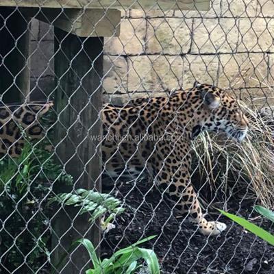 China Leopard Zoo Enclosure Mesh Customized Hole Size 304 Stainless Steel Woven for sale