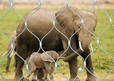 Chine Acier inoxydable Diamond Mesh For Zoo de Netting 316 animaux de barrière d'AISI 304 à vendre
