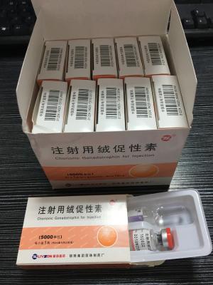 Cina Iso di CAS umano 96827-07-5 dell'iniezione della gonadotropina corionica di HCG approvato in vendita