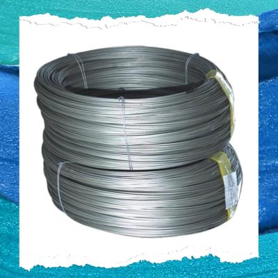 China 10 Gauge Stainless Steel Wire for Spring with Excellent Corrosion Resistance à venda
