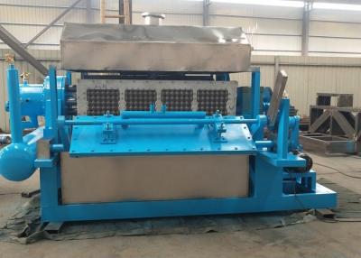 China 4000-5000 Pcs/Hr Pulp Egg Tray Machine 4 By 8 Type High Output for sale