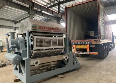China 4000p/H Pulp Egg Tray Machine 10t for sale