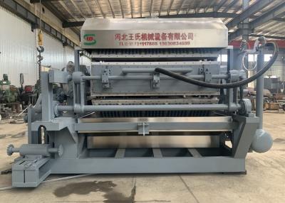 China 106kw 4 By 8 Fully Automatic Egg Tray Machine WS-4000 Egg Tray Production Line for sale