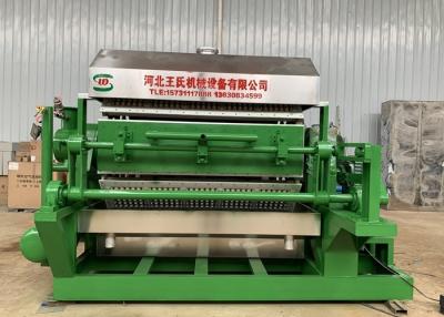 China Waste Paper 5x8 Rotary Egg Tray Machine  6000 Pcs/H 126kw for sale