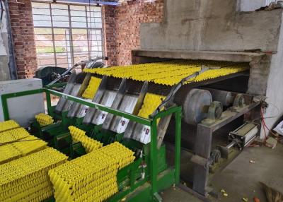 China Aluminum 5 By 8 Fully Automatic Egg Tray Machine 5000 Pcs/Hr for sale