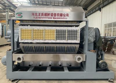 China Waste Carton 220V 60HZ Fully Automatic Egg Tray Machine 5 By 8 Rotary Type for sale