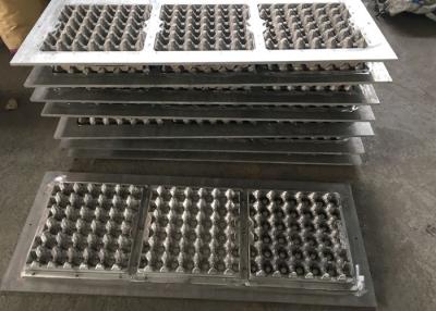 China Papelada que recicla o ovo totalmente automático Tray Machine à venda