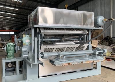 China WS-3000 Fully Automatic Egg Tray Machine for sale