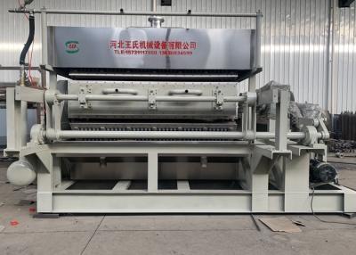 China Huevo completamente automático Tray Machine de Tray Machine Vaccuum Forming Automatic del huevo de 6 capas 7500 Pcs/Hr en venta
