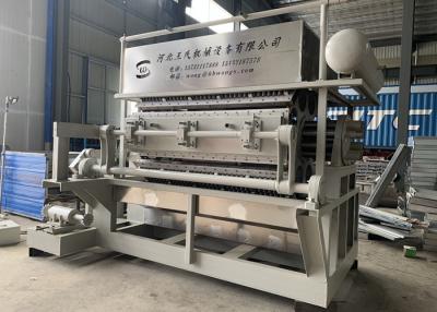 China WS-8000 Paper Egg Tray Machine for sale