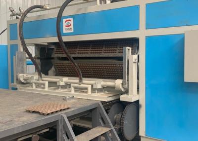 China Ovo Tray Making Machine Face de 7700 Pcs/H 6 PCes de 50 toneladas à venda