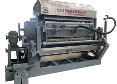 China Paper Molded Pulp 5000pcs/Hour Egg Tray Machine Recycling for sale