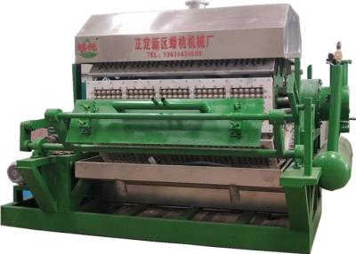 China Waste Paper 5pcs/Time Fully Automatic Egg Tray Machine Rotary 6000 Pcs/H for sale