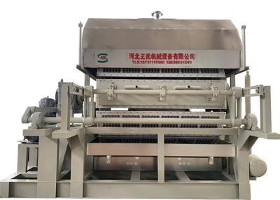 China Recycle Magazines Steam Paper Egg Tray Machine Full Automatic Pulp Molding for sale