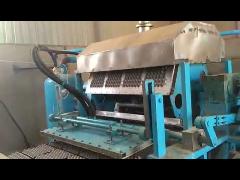 3000pcs/h egg tray machine in india