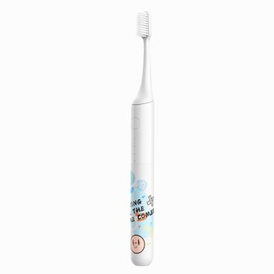 China Customized Logo Oral Care Toothbrush USB Rechargeable Powered  Sonic Electric Toothbrush en venta