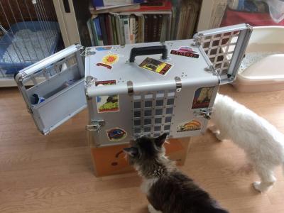 China El hogar sacó jaula del perro de los perfiles del aluminio para la caja que llevaba de la jaula de la preparación del coche/del animal doméstico en venta