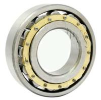 China ZZ 2RS Open NU305 ECP Chrome Steel Gcr15 Roller Bearing for sale