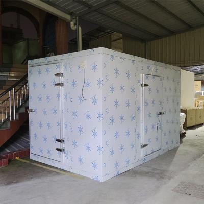 China R404a Outdoor Walk In Cooler Freezer With Refrigeration Copeland Compressor for sale