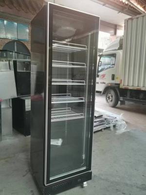 China R290 Single Door Upright Fridge Commercial Beverage Display Refrigerator for sale