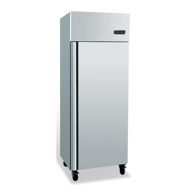 Cina singolo congelatore di frigorifero della porta di 600*800*2000mm per l'hotel in vendita