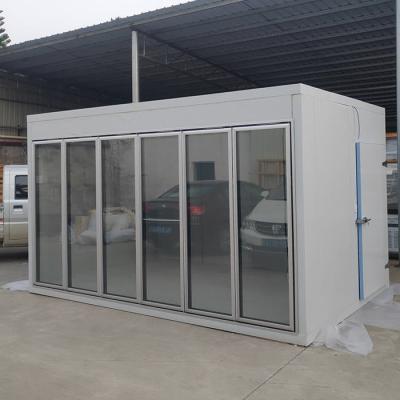 China 6 Glass Door Supermarket 220V Walk In Cooler Freezer for sale