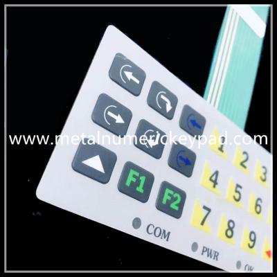 China 6ms Waterproof Numeric Keypad 10 P Connection Membrane Switch Keypad for sale