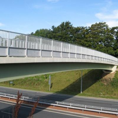 China Pasos superiores peatonales modificados para requisitos particulares de la pasarela unicelular de la caja de los puentes de viga de placa de acero en venta