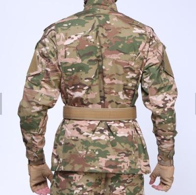 Cina Uniforme standard americana di addestramento militare del poliestere del cotone 65% delle uniformi militari 35% degli Stati Uniti in vendita