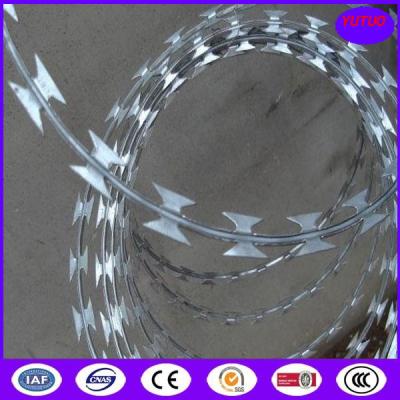 China Bto-10, Bto-22, Bto-30, Hot Dipped Galvanized Razor Ribbon Wire for sale