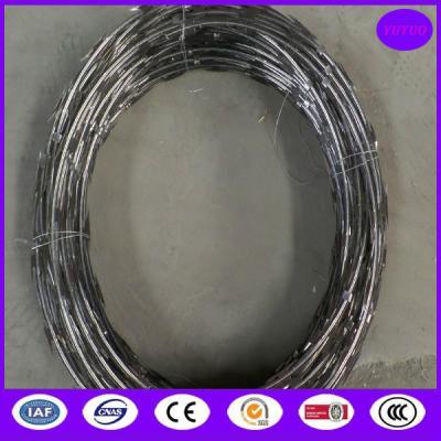 China CBT65 5kgs /coil stainless steel razor barbed wire for sale