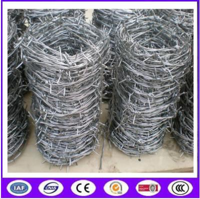 China Double Twisted Hot Dipped Galvanized Babred Wire with best quality in Chinba for sale